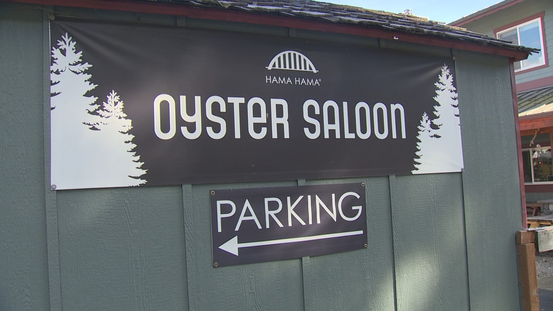 Delish Day Trip Scenic Drive to Hama Hama Oyster Saloon