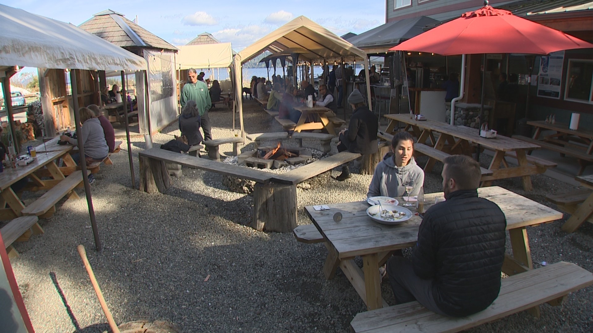 Delish Day Trip Scenic Drive to Hama Hama Oyster Saloon