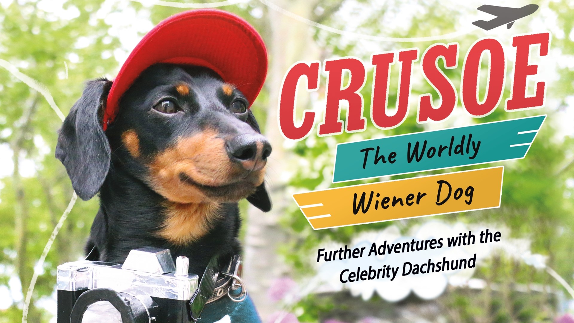 Crusoe the Celebrity Dachshund comes out with new book | king5.com