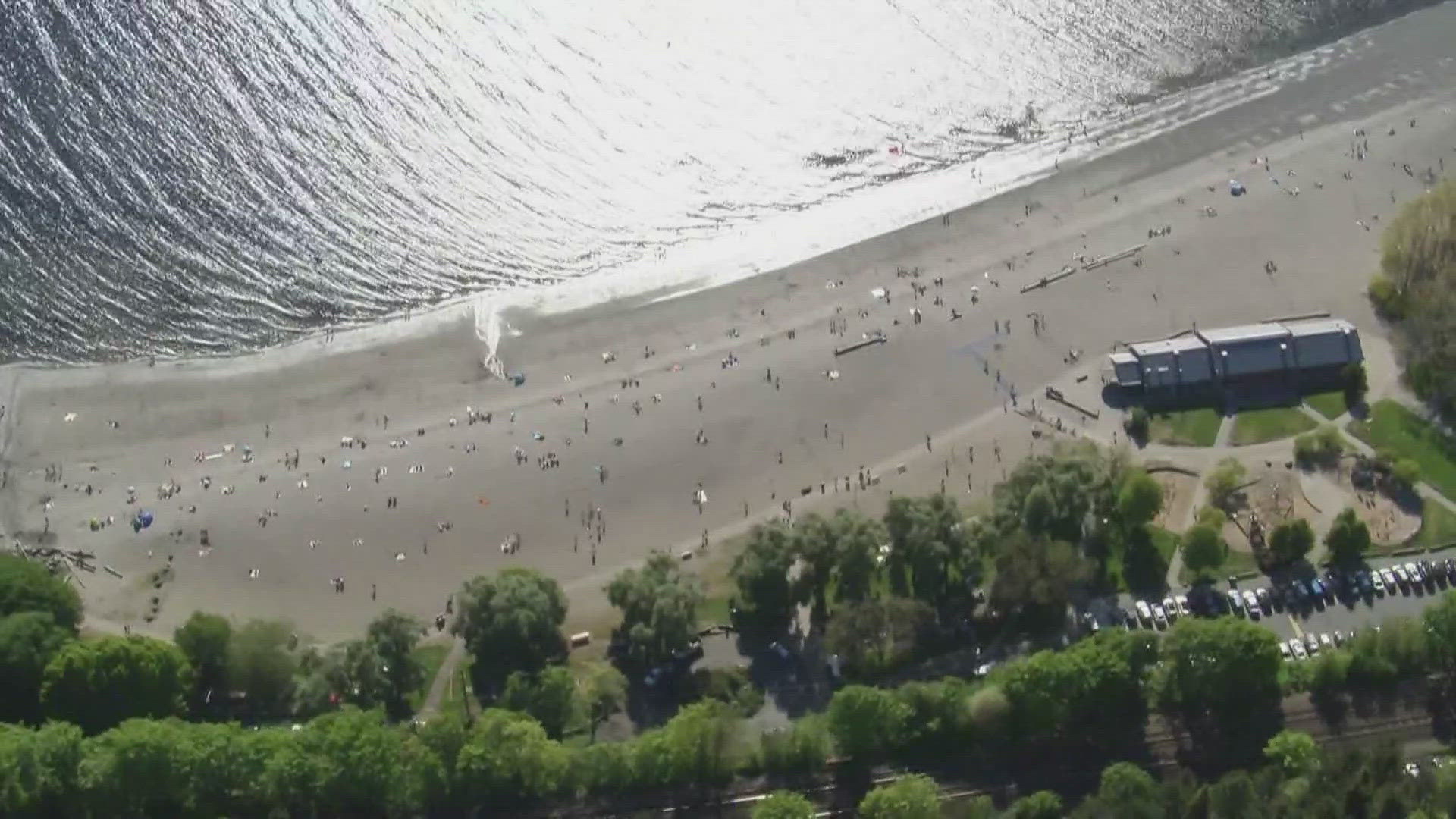 Madrona Beach, Matthews Beach and Madison Beach on Lake Washington were closed this week due to high bacteria levels.