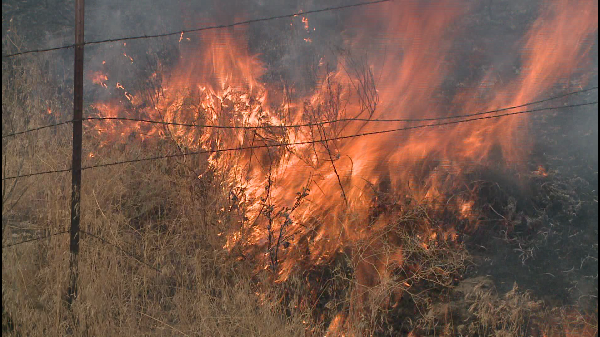 The fire was about 50 acres around 5 p.m. on Tuesday.