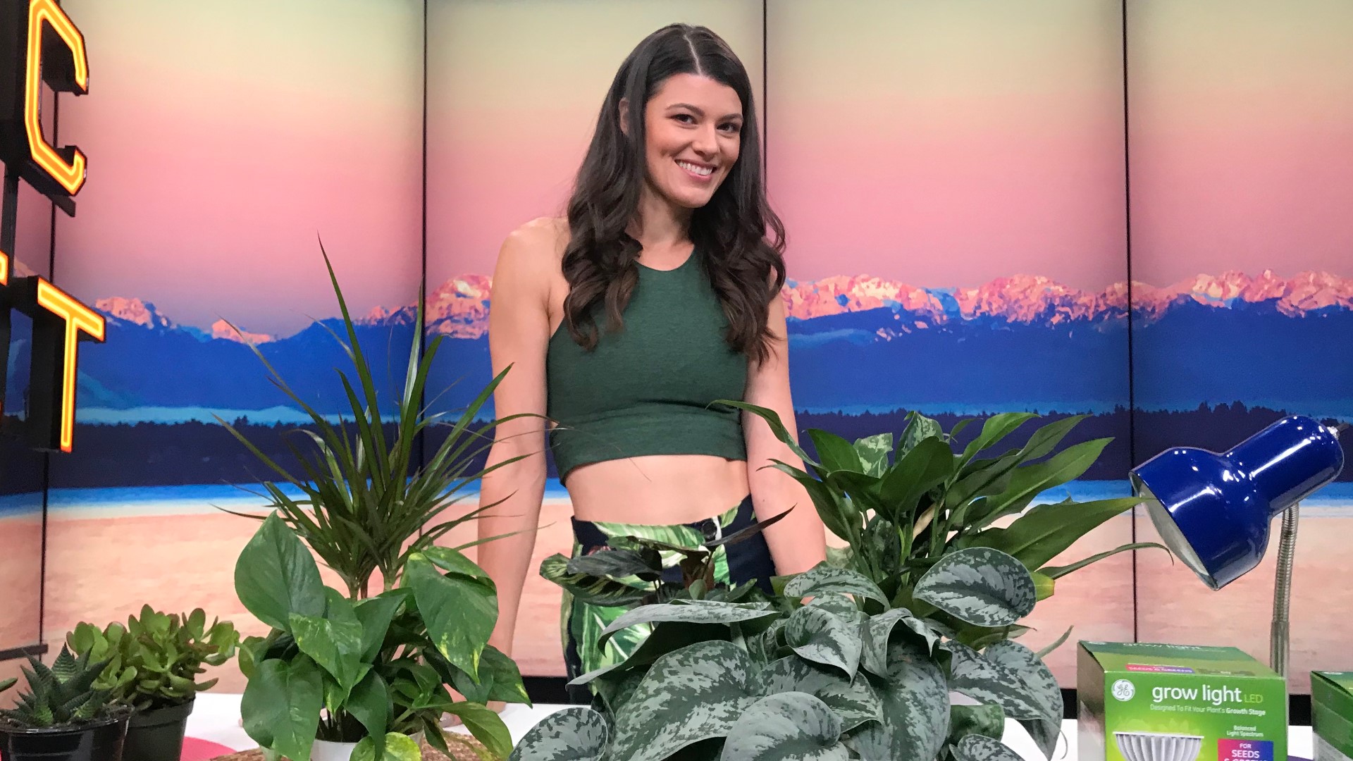 Summer Rayne Oakes' new book teaches us how to approach our relationship with plants so that they can thrive and we can reap the psychological benefits.