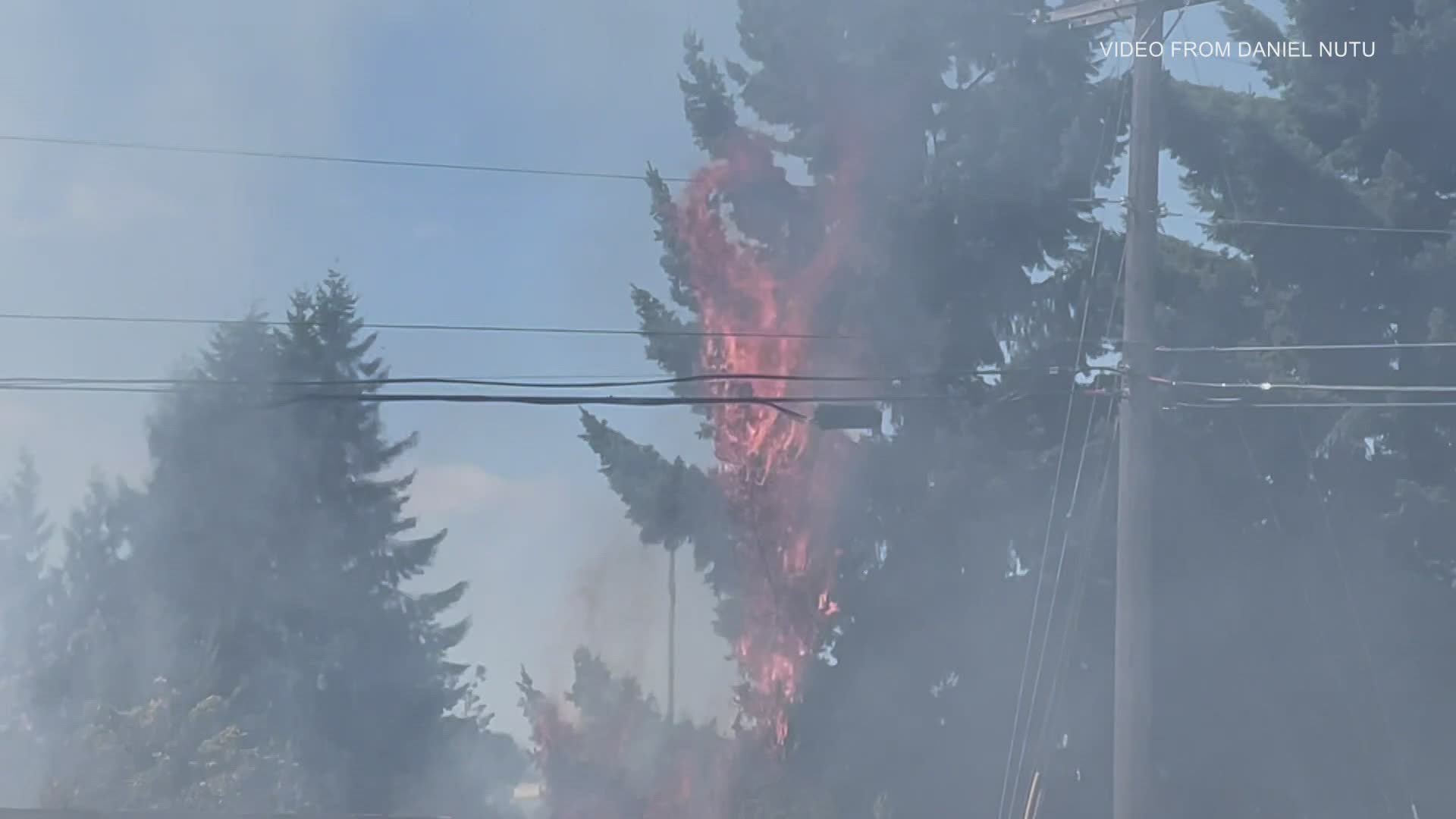 Multiple brush fires started along northbound I-5 and Highway 101 Wednesday afternoon. State troopers say the fires may have been intentionally set.