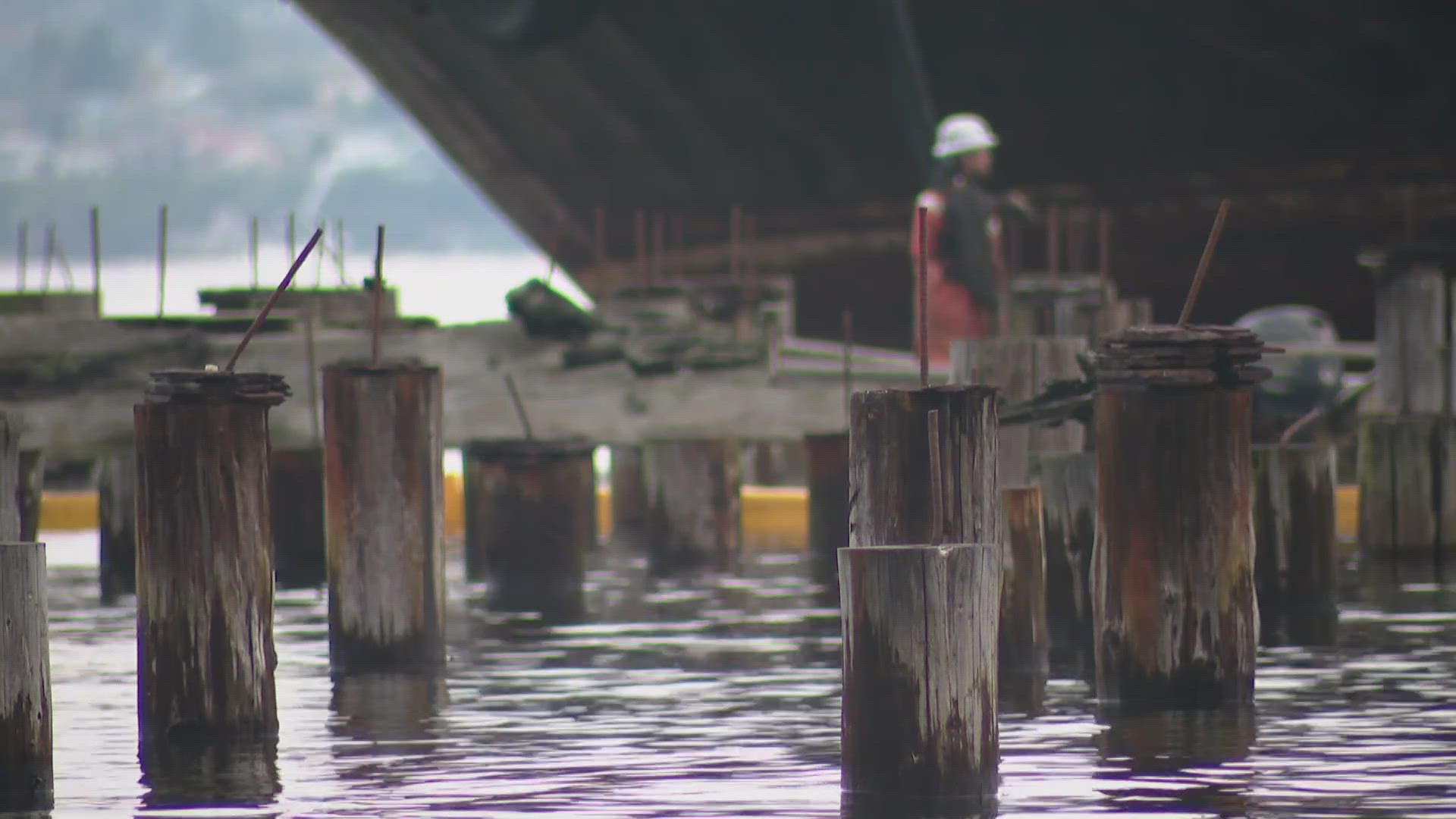 Around 1,200 pilings are being removed from the water to help restore the environment.