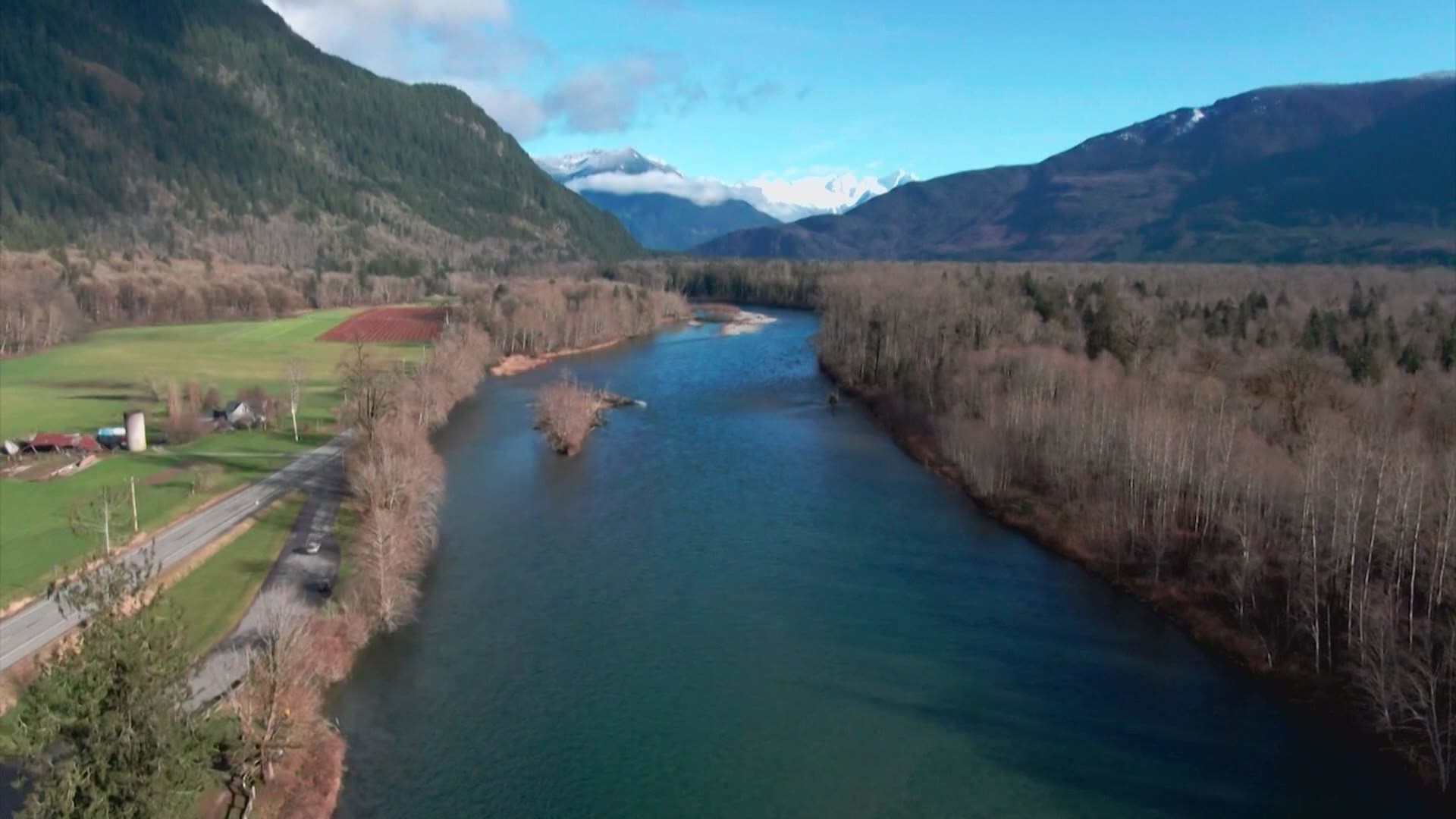 KING 5 Investigators say Seattle City Light left outdated messages on its website about "healthy salmon populations" on the Skagit that didn't tell the whole story.