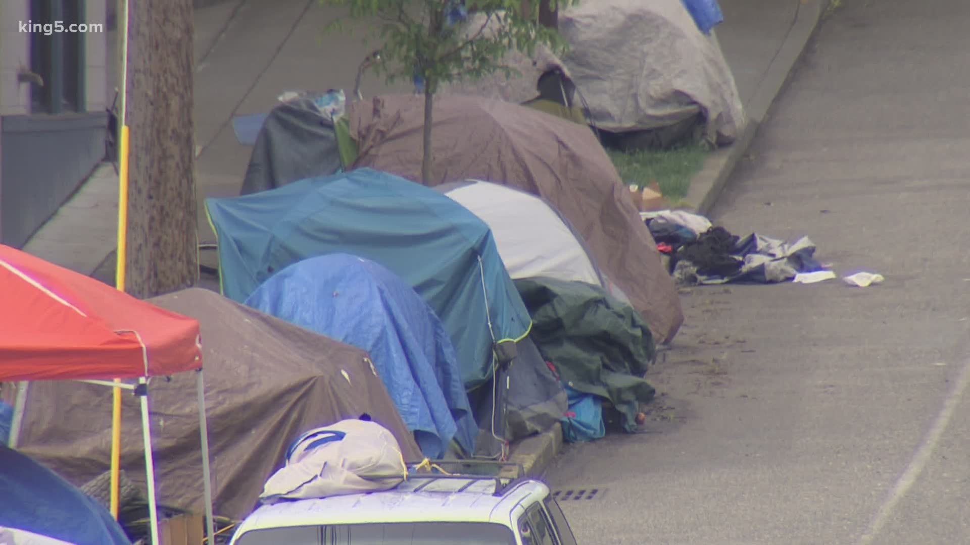 New city legislation from three council members cites COVID concerns in a proposal to limit funding for removing camps in the city's public areas.