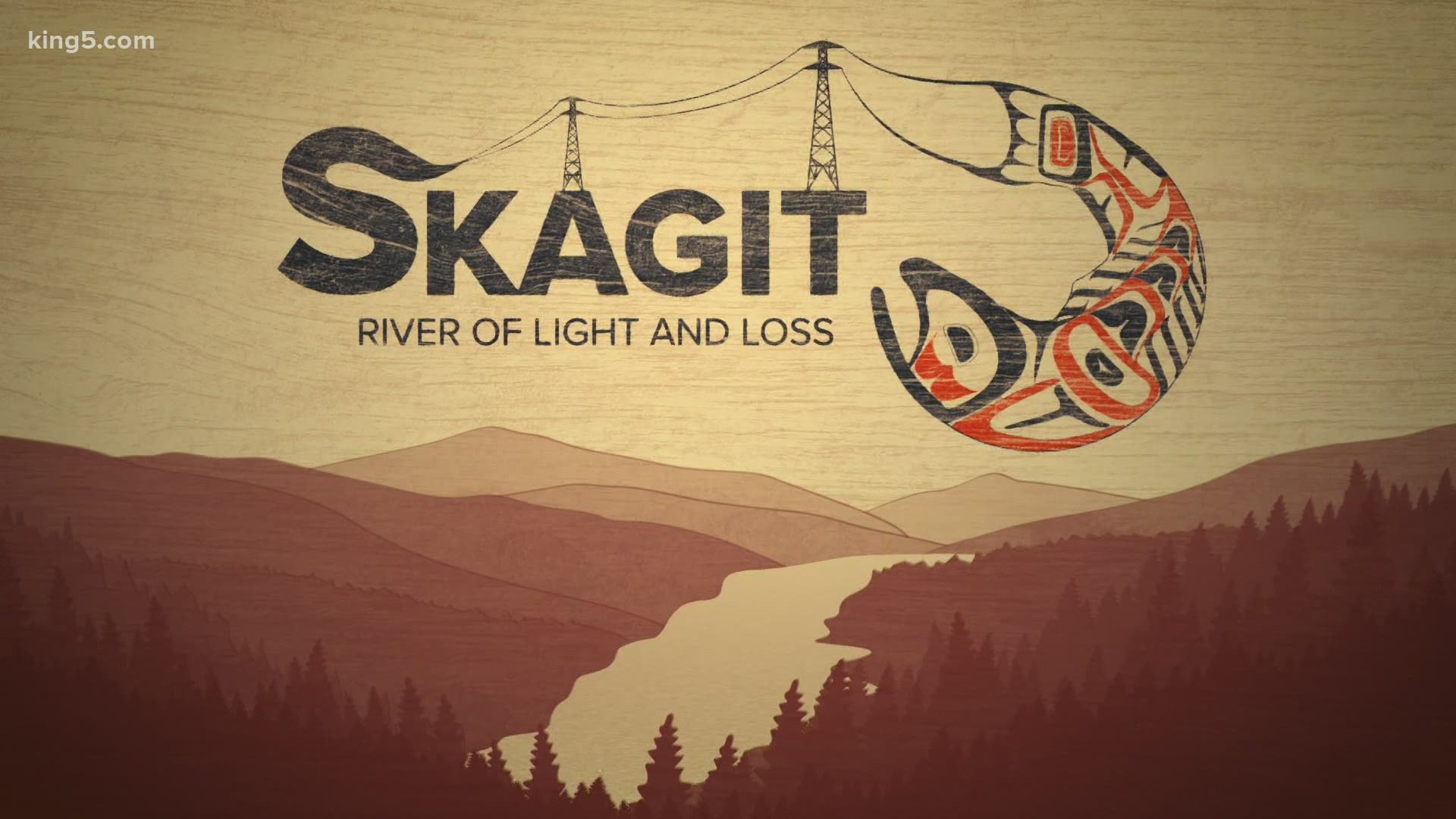 Seattle City Light executives announced their latest plans in an effort to get their Skagit River dams relicensed for up to 50 years.