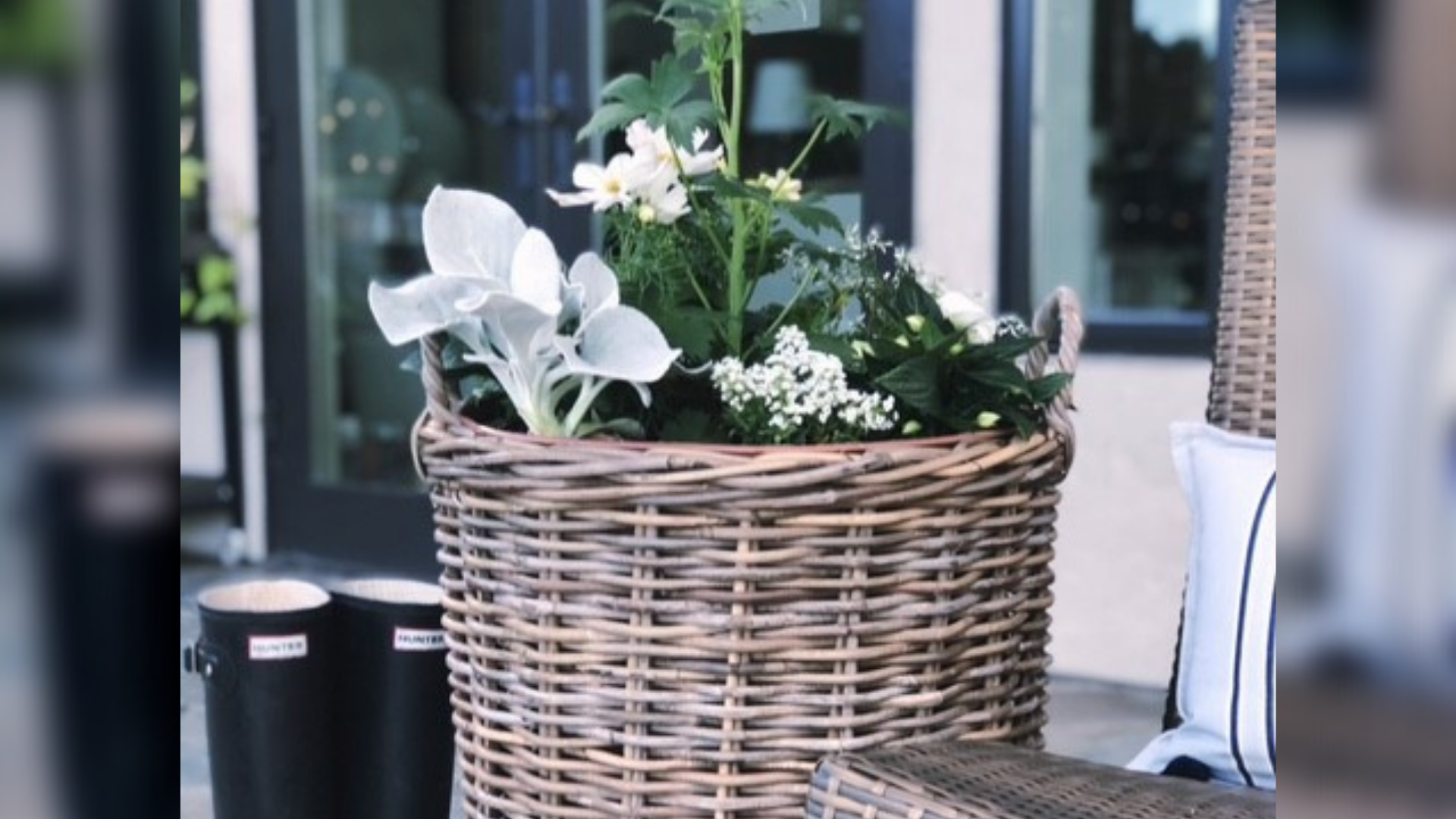 Using a basket is a unique way to showcase plants that glow 🌟🌿 Sponsored by 425 Magazine.