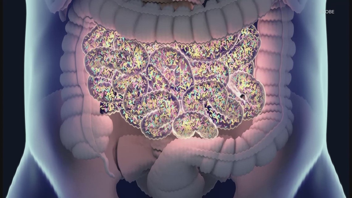 UW launches new center to explore the microbiome - Vimarsana News