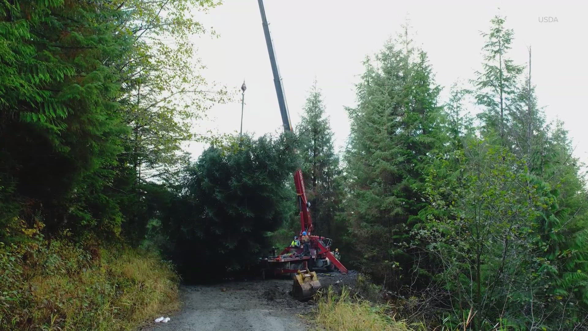 John Schank drove the tree all the way from the Pacific Northwest to the nation's capital.