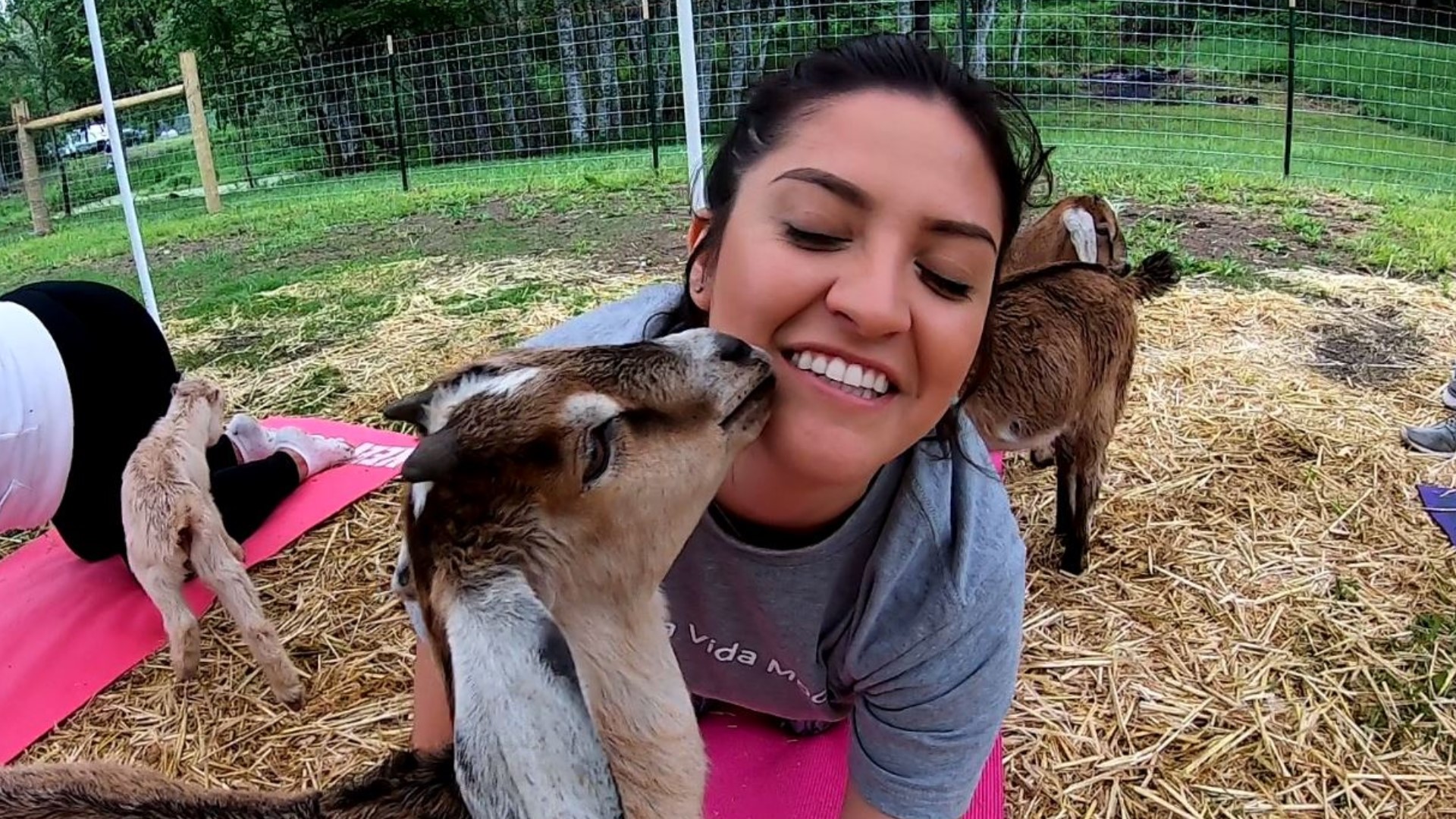 Stone City Farm was best known for its goat milk soap... until they introduced goat yoga to the community.
