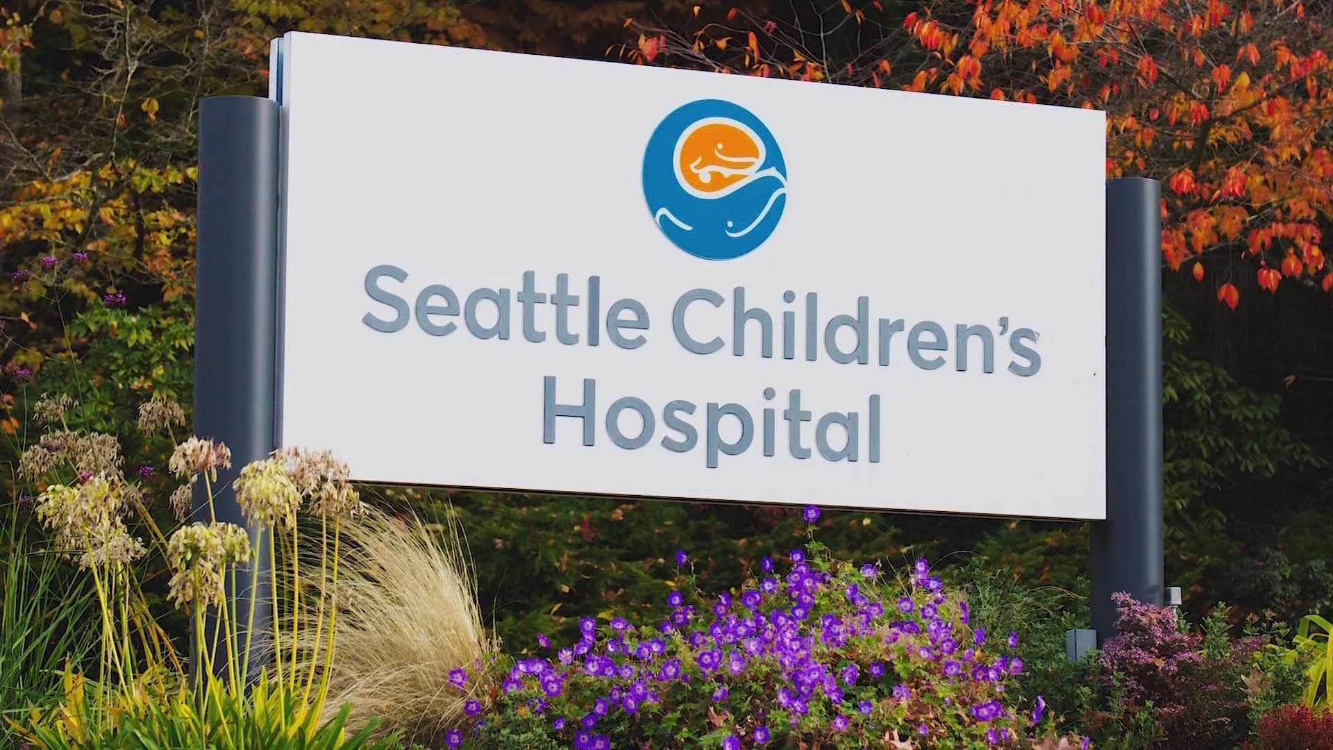 Seattle Children's Hospital has closed all operating rooms after tests showed mold in its ventilation system. The mold is blamed for the death of one young patient.