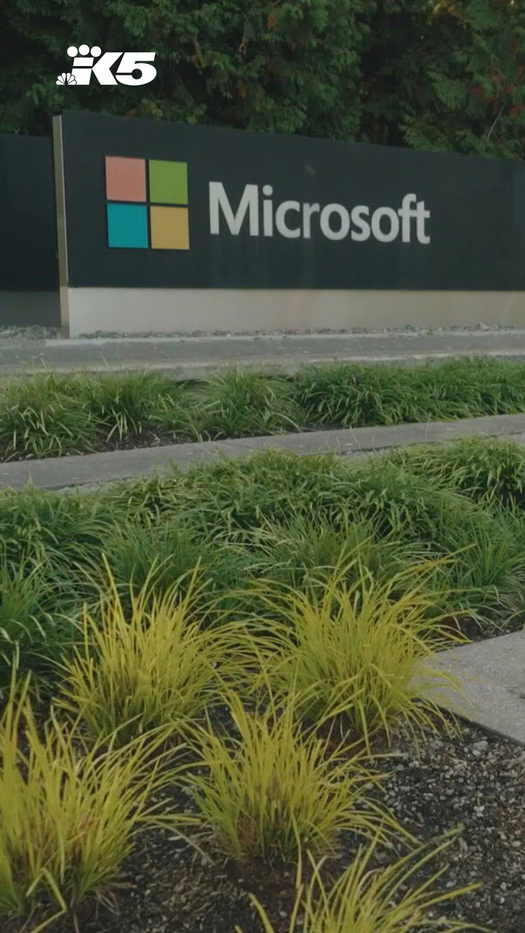 Microsoft Workforce Microsoft to reduce global workforce by 25%, offering buyouts to ...