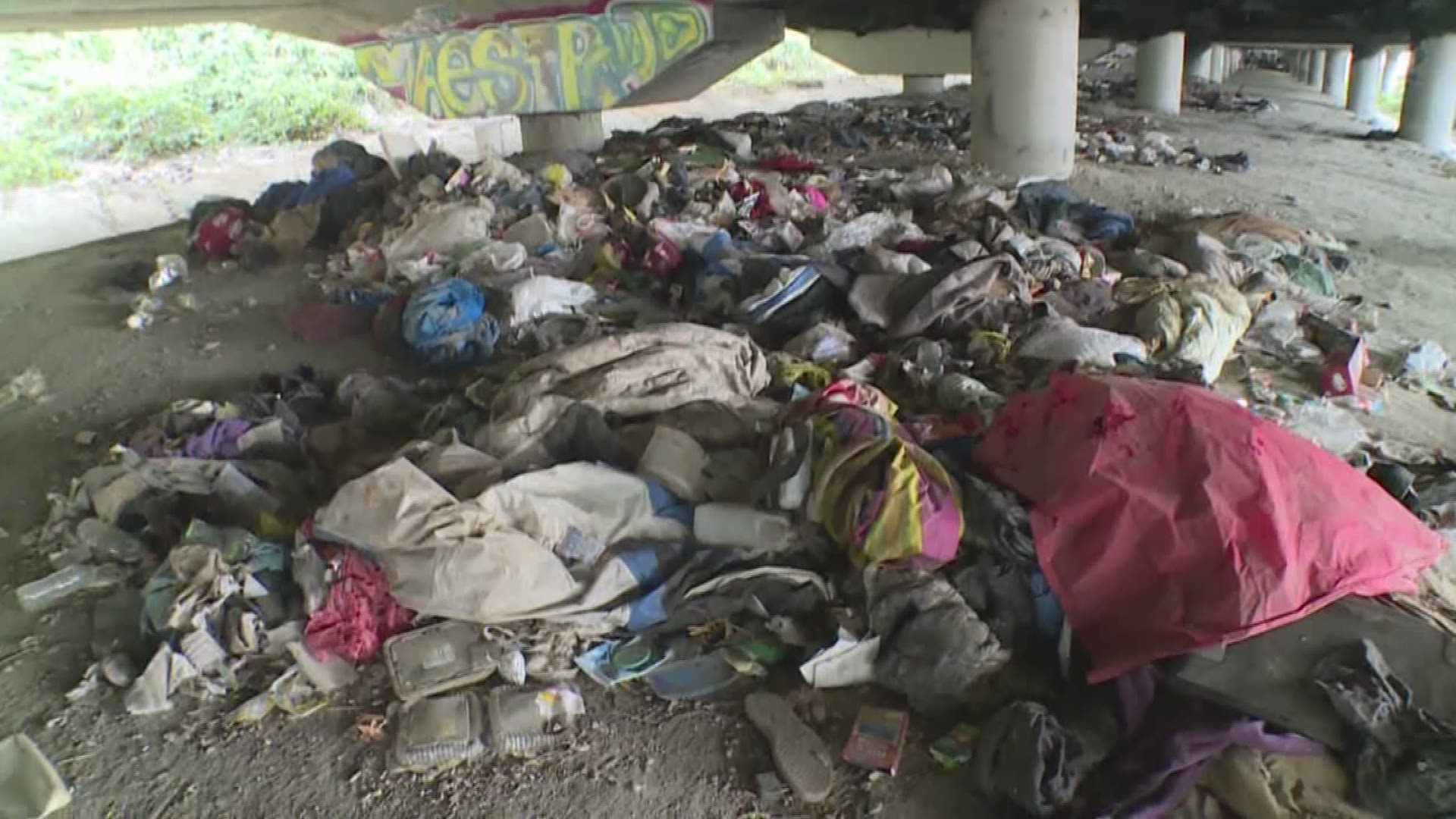 Protesters Arrested As Seattle Clears Out The Jungle Homeless Camp   6a95655b 27b8 4c1e A848 57cf14343eae 1920x1080 