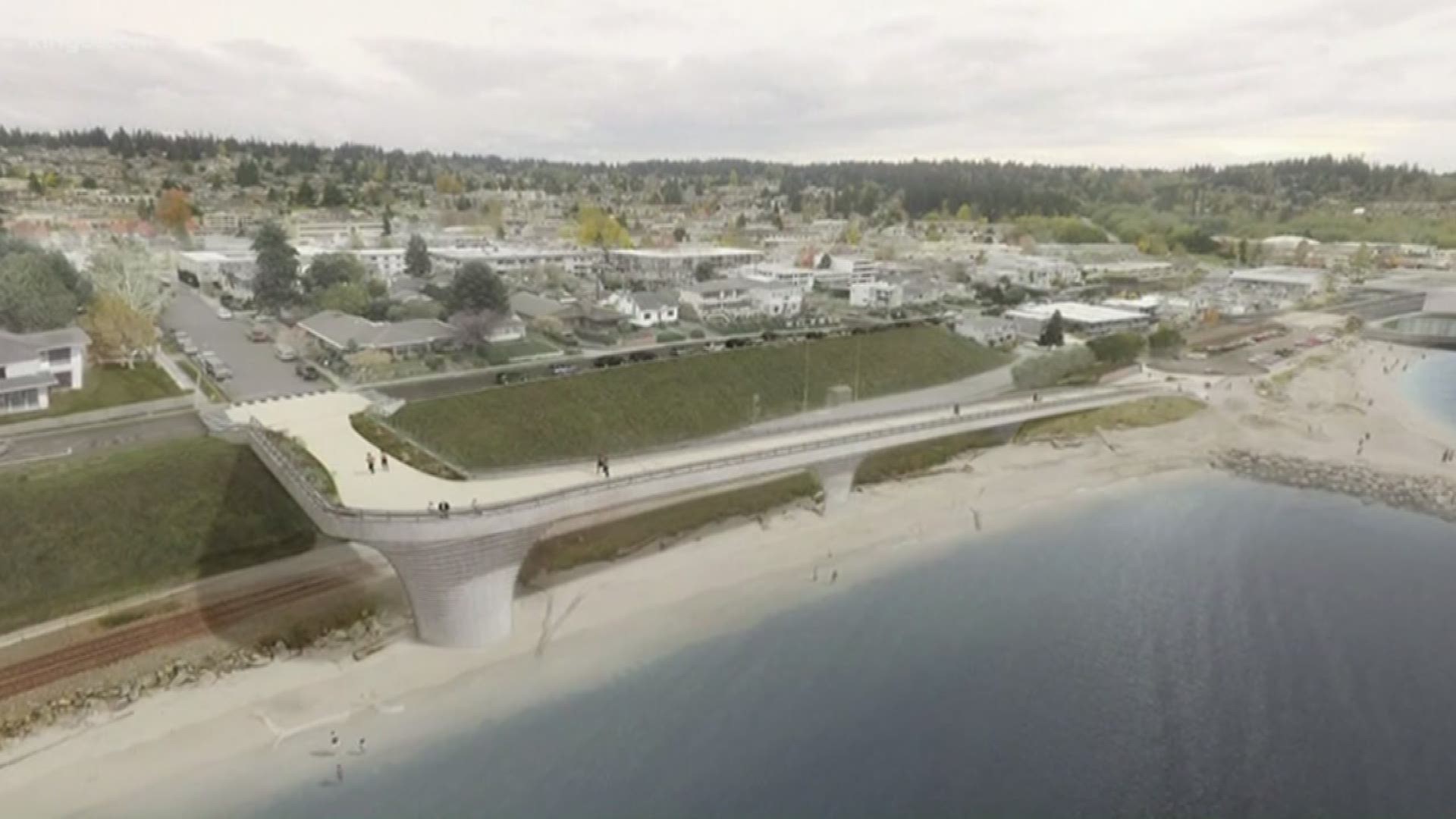 An emergency overpass is being considered for the Edmonds waterfront, but some neighbors are against the idea. KING 5's Amy Moreno reports.