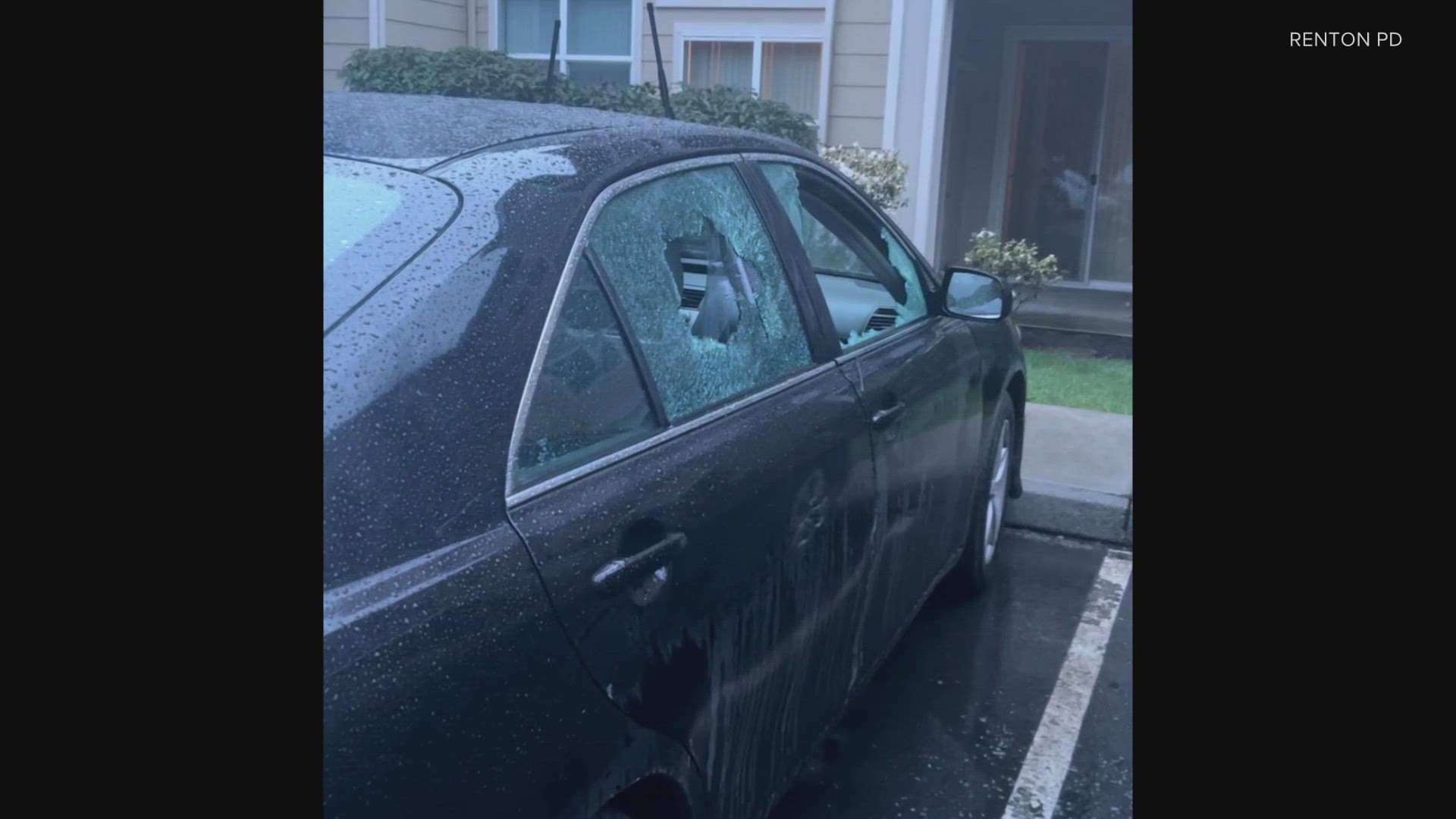 Renton police are looking for whoever damaged multiple cars at an apartment complex early Wednesday morning