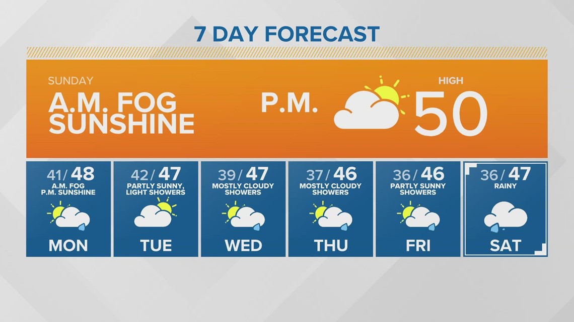 Researchers discover transmissible cancers in several shellfish species