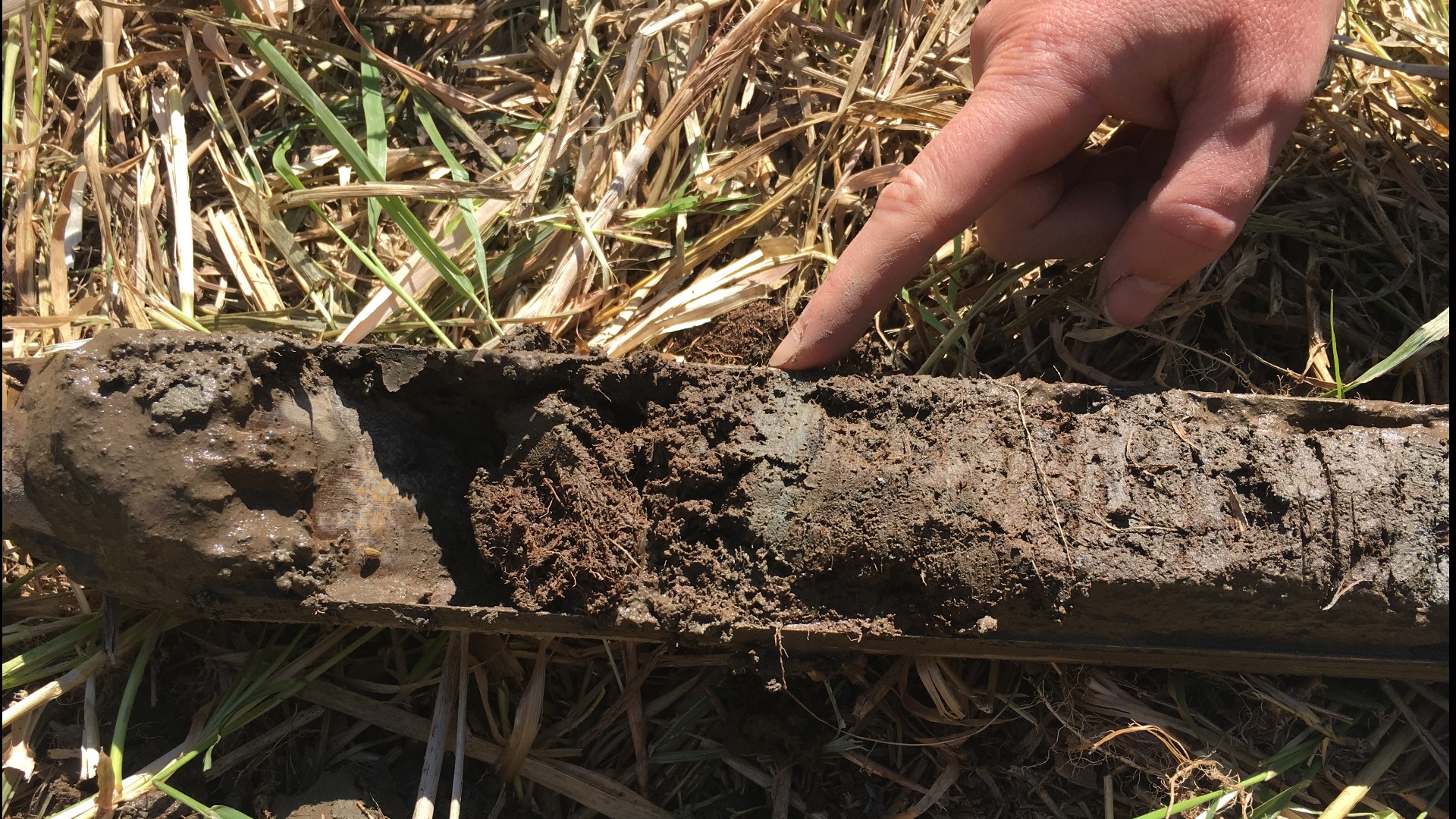 Scientists study Puget Sound tsunami risk by digging into the past ...