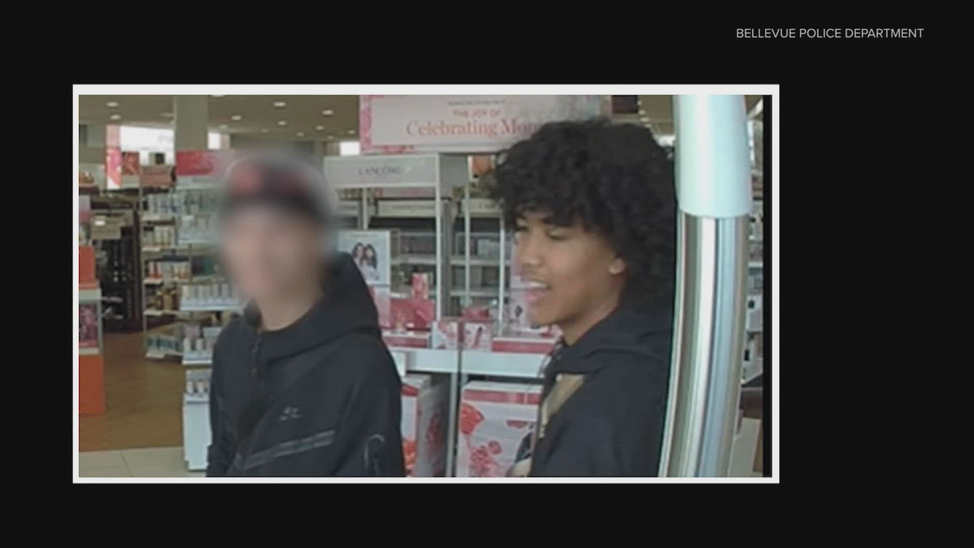 Teen charged after robbery that left 72-year-old woman with broken back ...