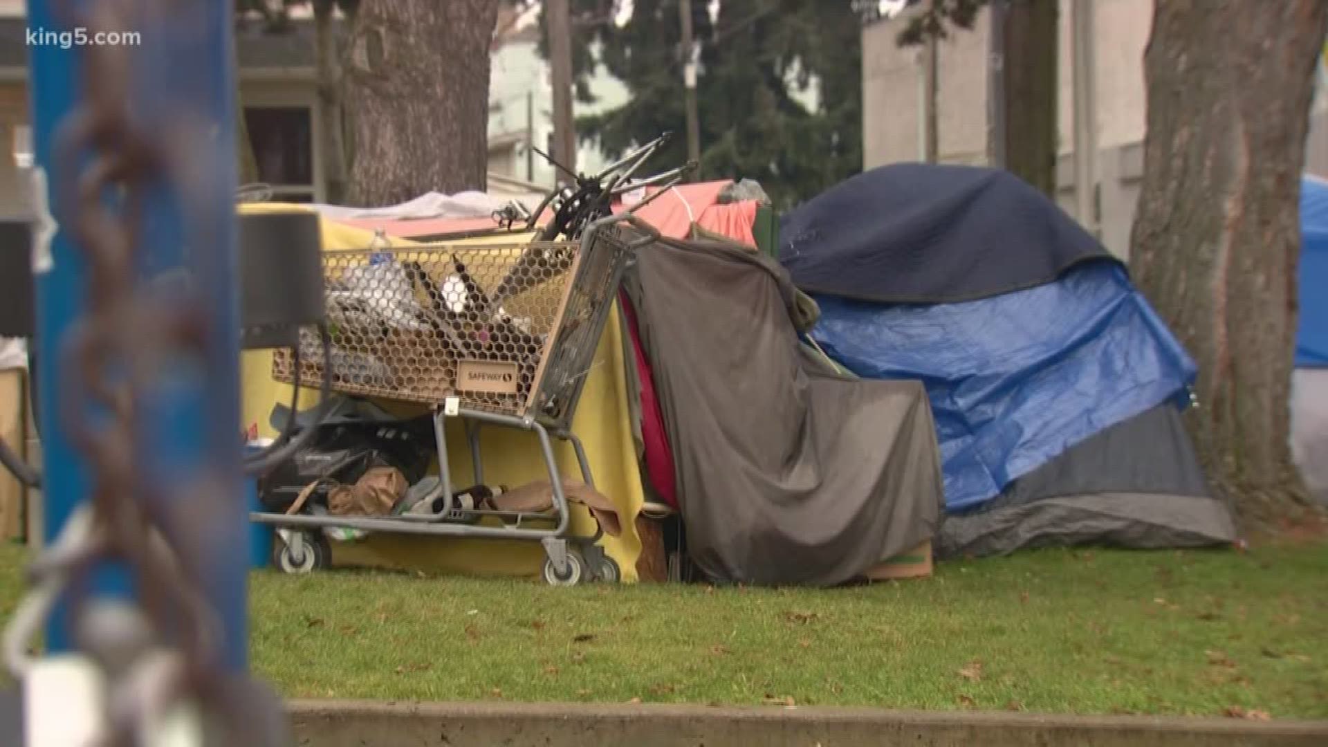 The city hopes to move 35 people from People's Park into microhomes.