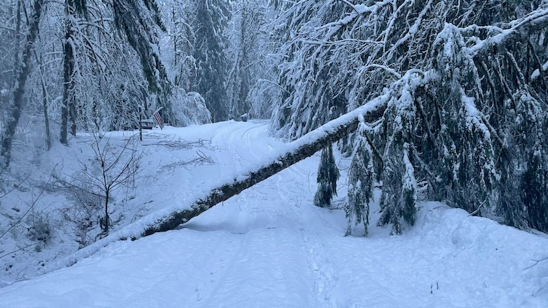 Mason County continues to deal with heavy snow, downed trees and power outages.