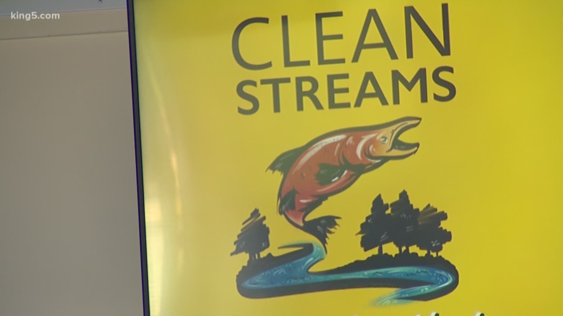 Puget Soundkeeper Alliance launched its Clean Streams Campaign on Tuesday, which aims to create streamside buffers to help keep waterways cool and clean for salmon.