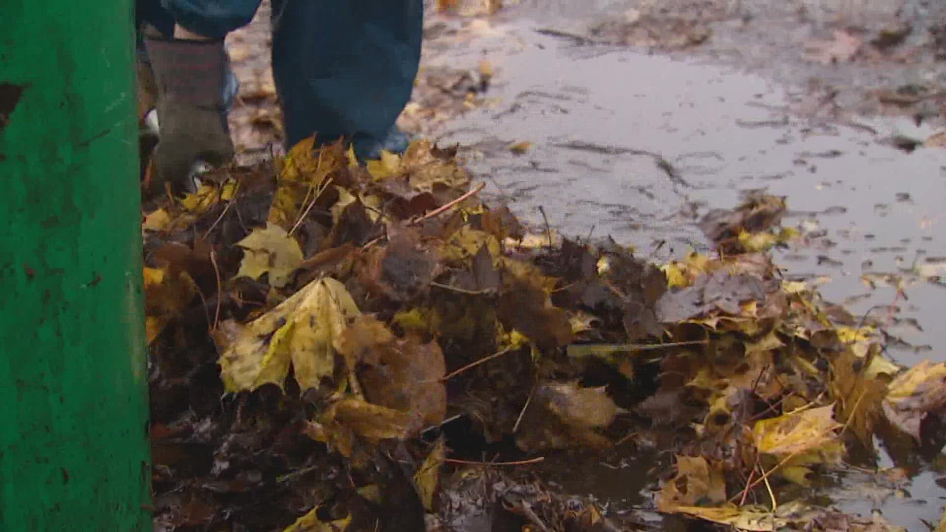 Keeping Storm Drains Clear of Leaves