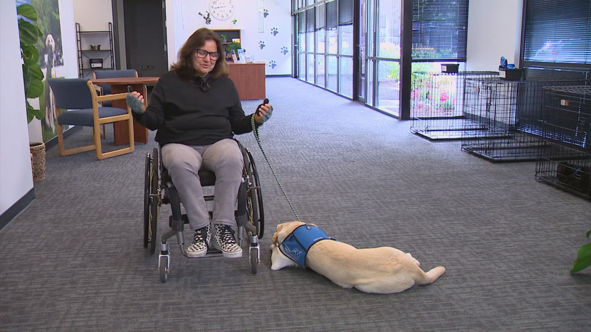 The non-profit service dog organization turns 49 years old on July 4. Several newly trained dogs have been matched with adults and kids in the Seattle area.