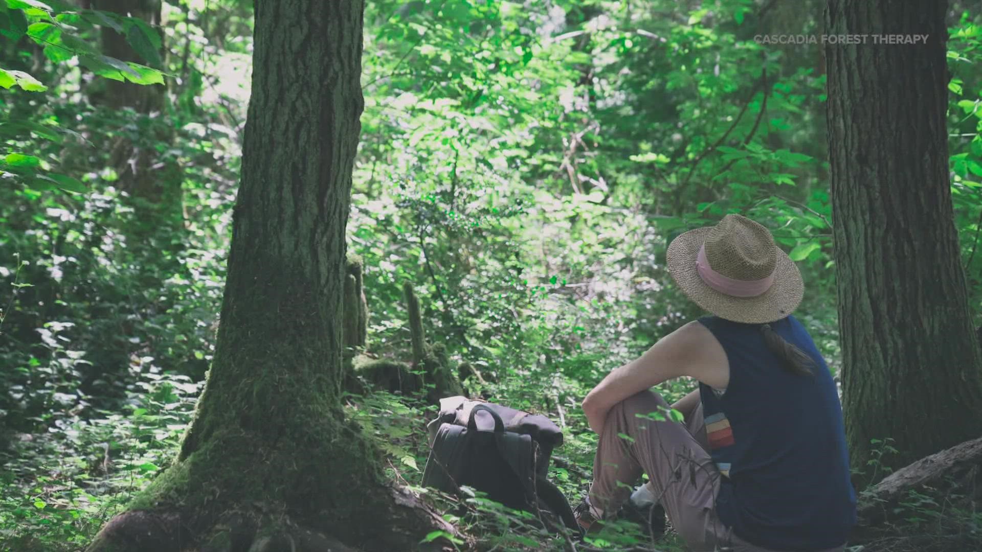Cascadia Forest Therapy is a newly formed non-profit is encouraging more people to get out of the house, get out of your head and get into nature.