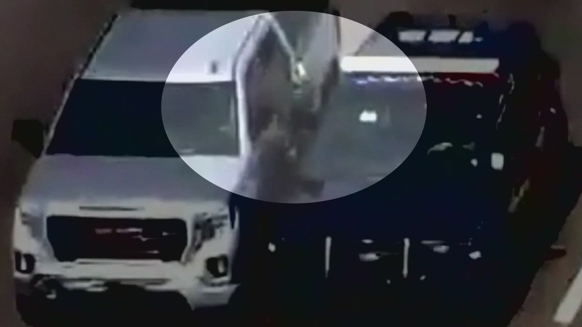 Michigan police officer climbs into window of moving car to save driver ...