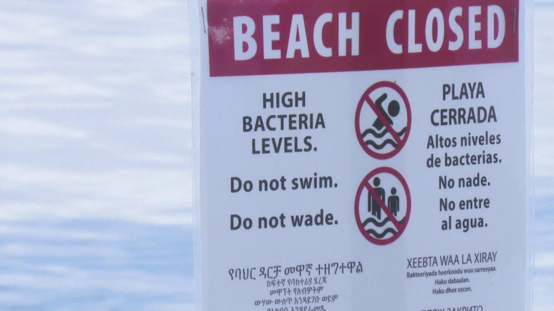 Part of Lake Washington shoreline closed after sewage overflow - Vimarsana News