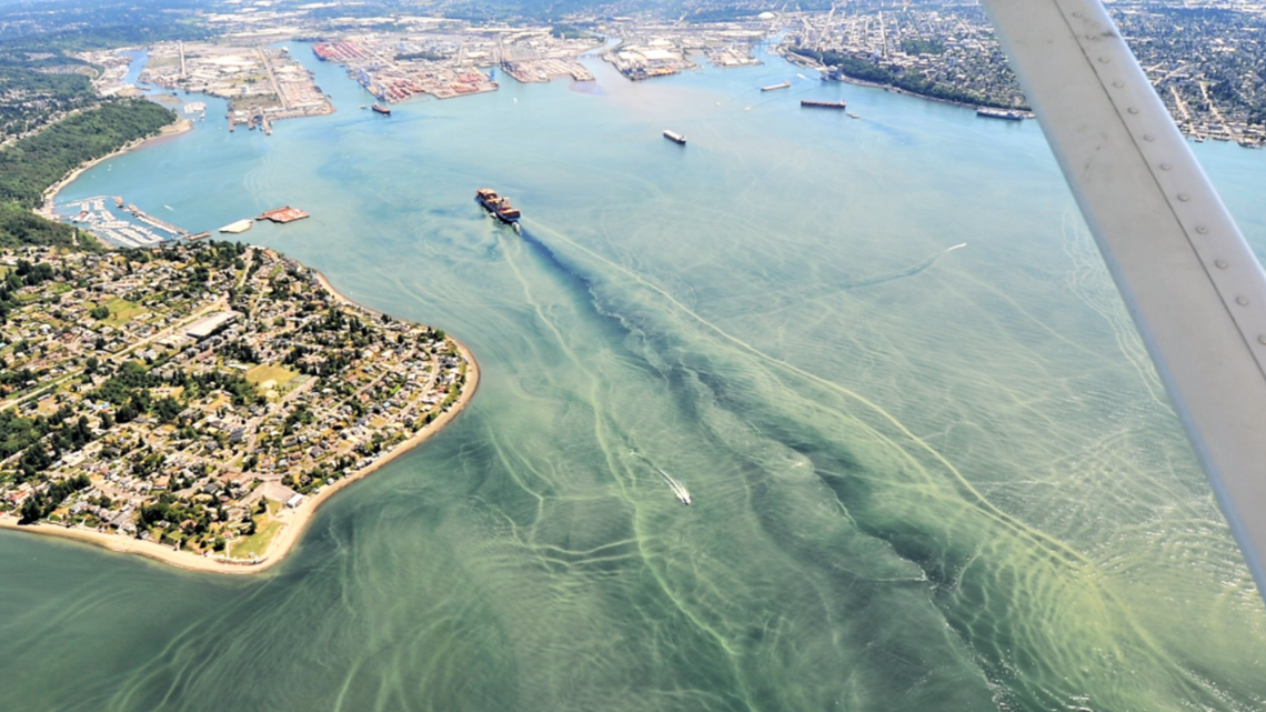 Commencement Bay clouded by 'glacial flour' after historic heat wave