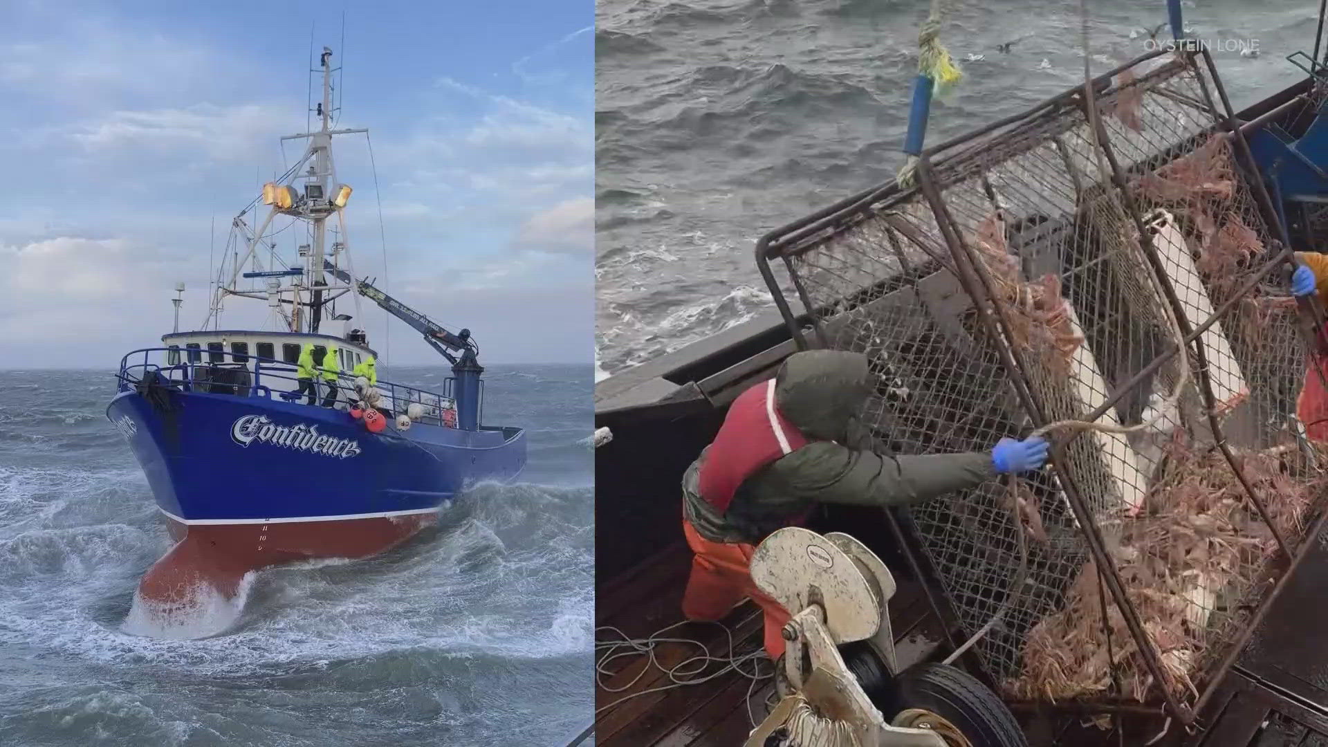 This is the first time in three years that fishermen will be allowed to catch snow crabs. However, just because the season is open does not mean it's back to normal.