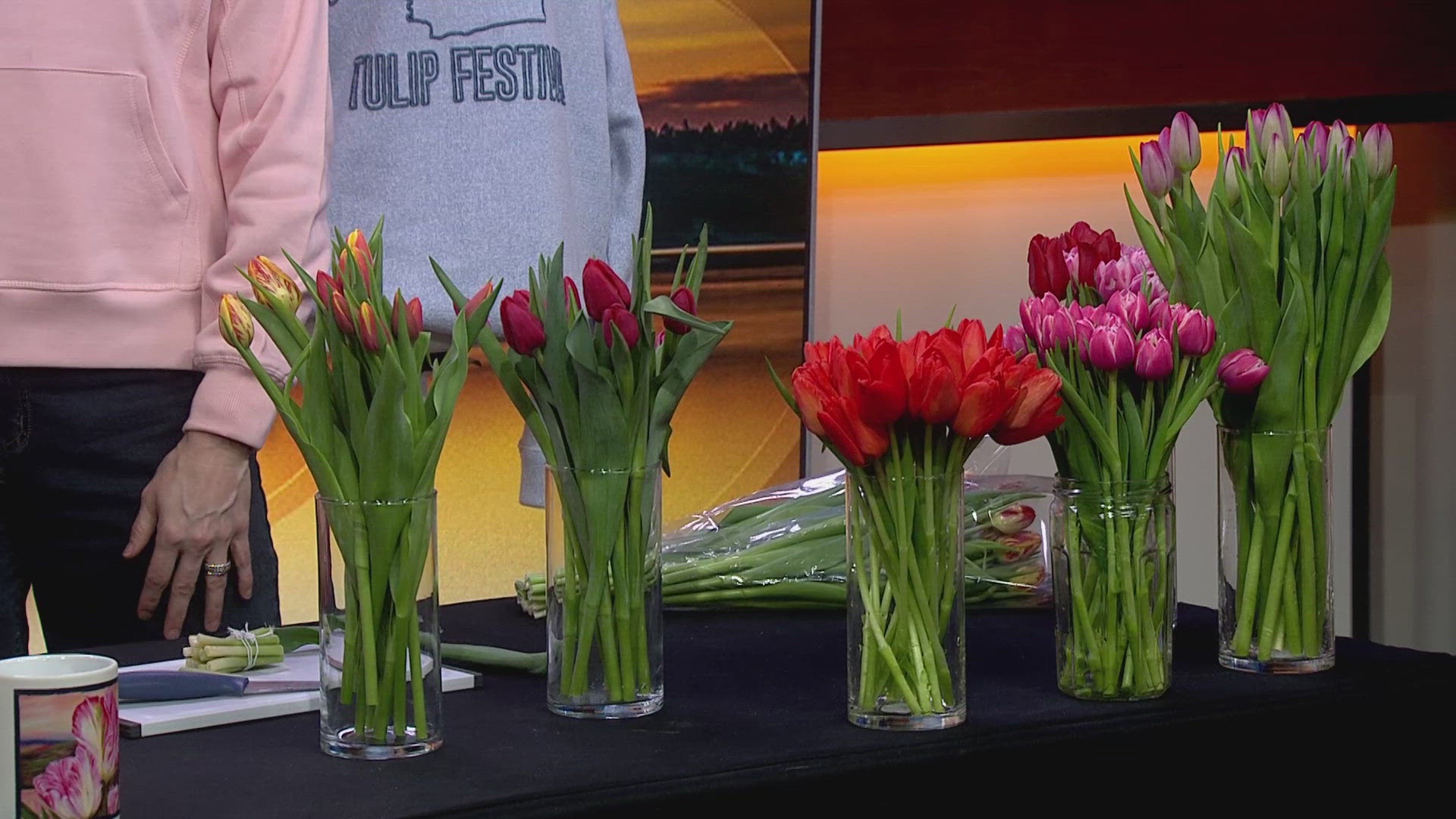 Thousands of people travel Skagit Valley each spring to visit numerous fields of tulips along with local art and festivities.