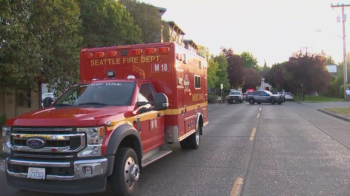King County sees more kids and teens killed by gun violence compared to all of 2023 - Vimarsana News