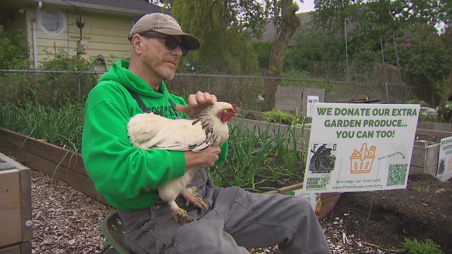 The highly contagious H5N1 virus was found in two non-commercial backyard flocks in Pierce County.
