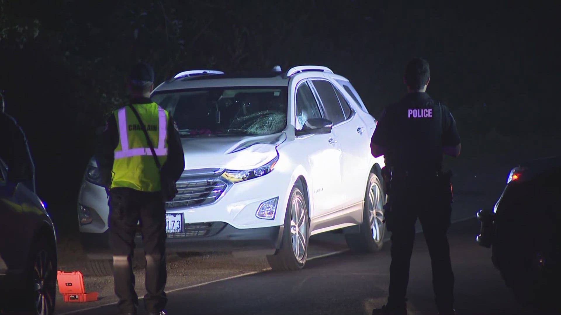 A driver hit and killed a pedestrian on SE 124th Ave. in Kent. Speed and alcohol are not thought to be factors in the accident.