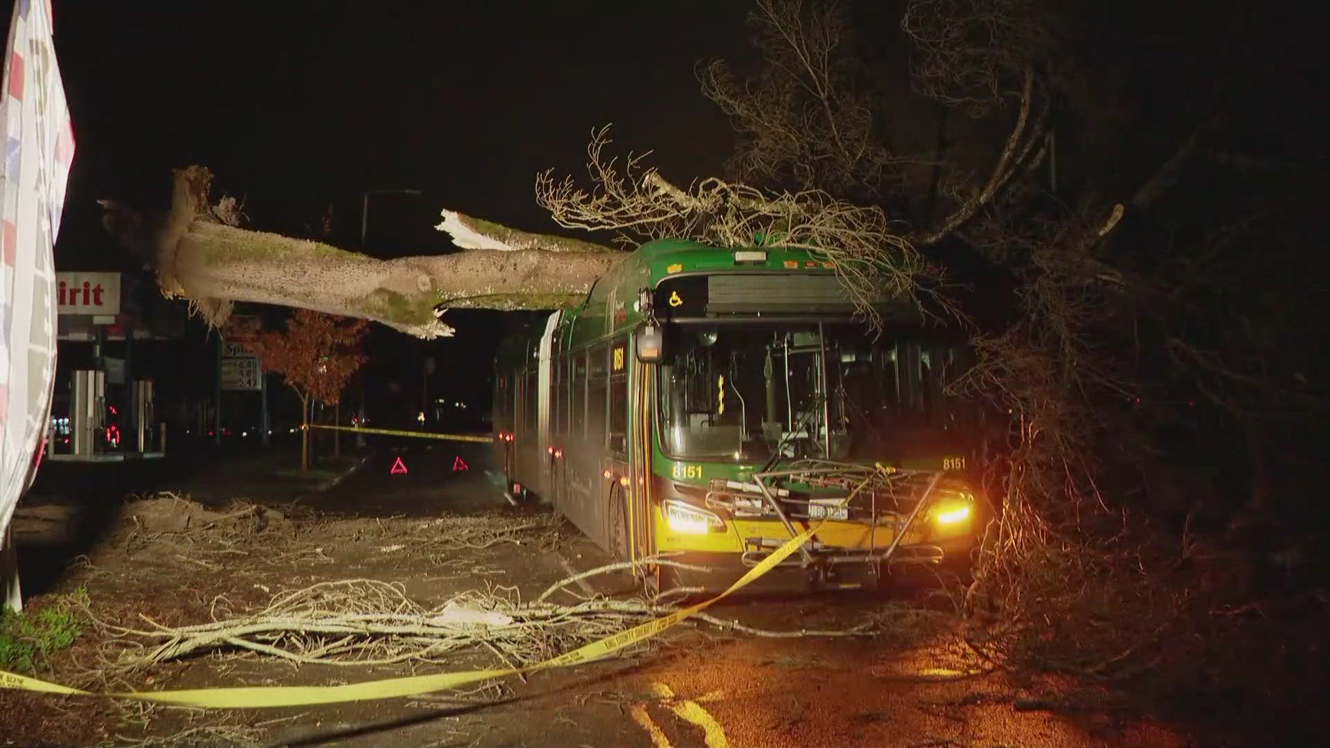 A massive tree fell on top of a city bus in Seattle's Wedgewood neighborhood.  Nobody was hurt in the crash.