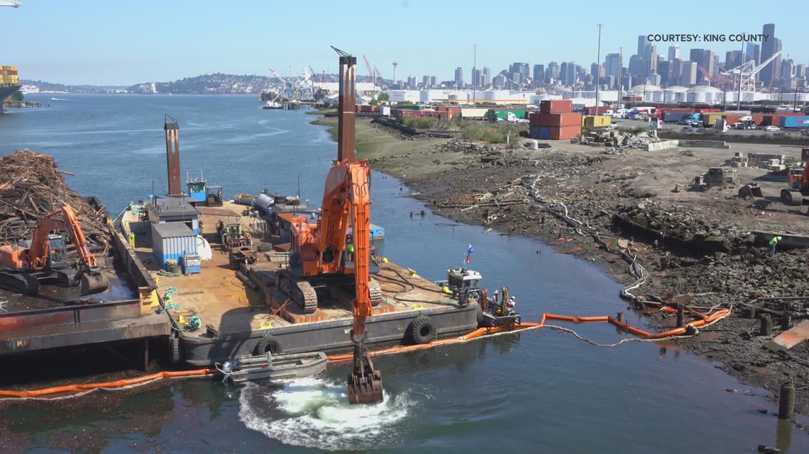 King County pollution cleanup aims to restore habitat at a vital location for salmon - Vimarsana News