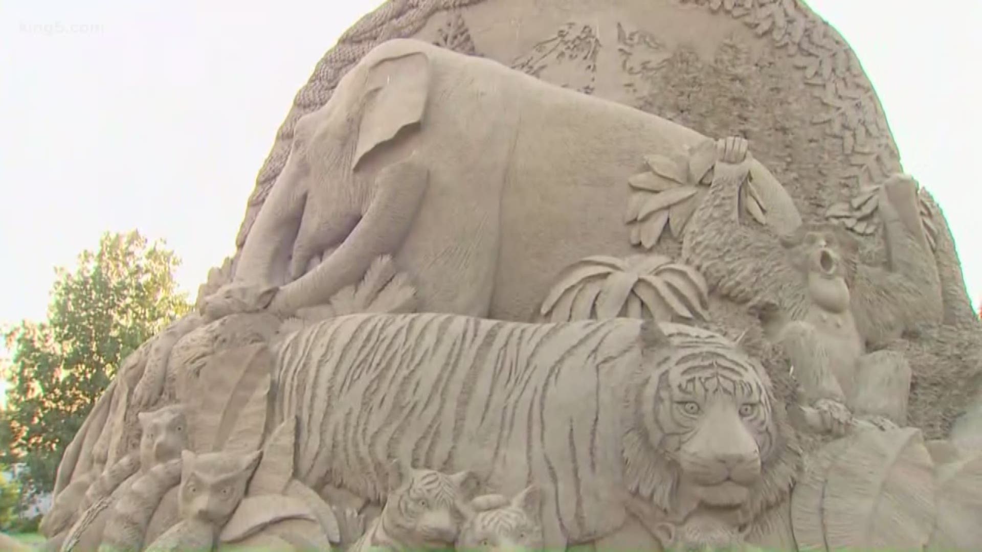 Sue McGrew, a Tacoma native who travels the world creating art out of sand, is working on a special piece at the Point Defiance Zoo and Aquarium.