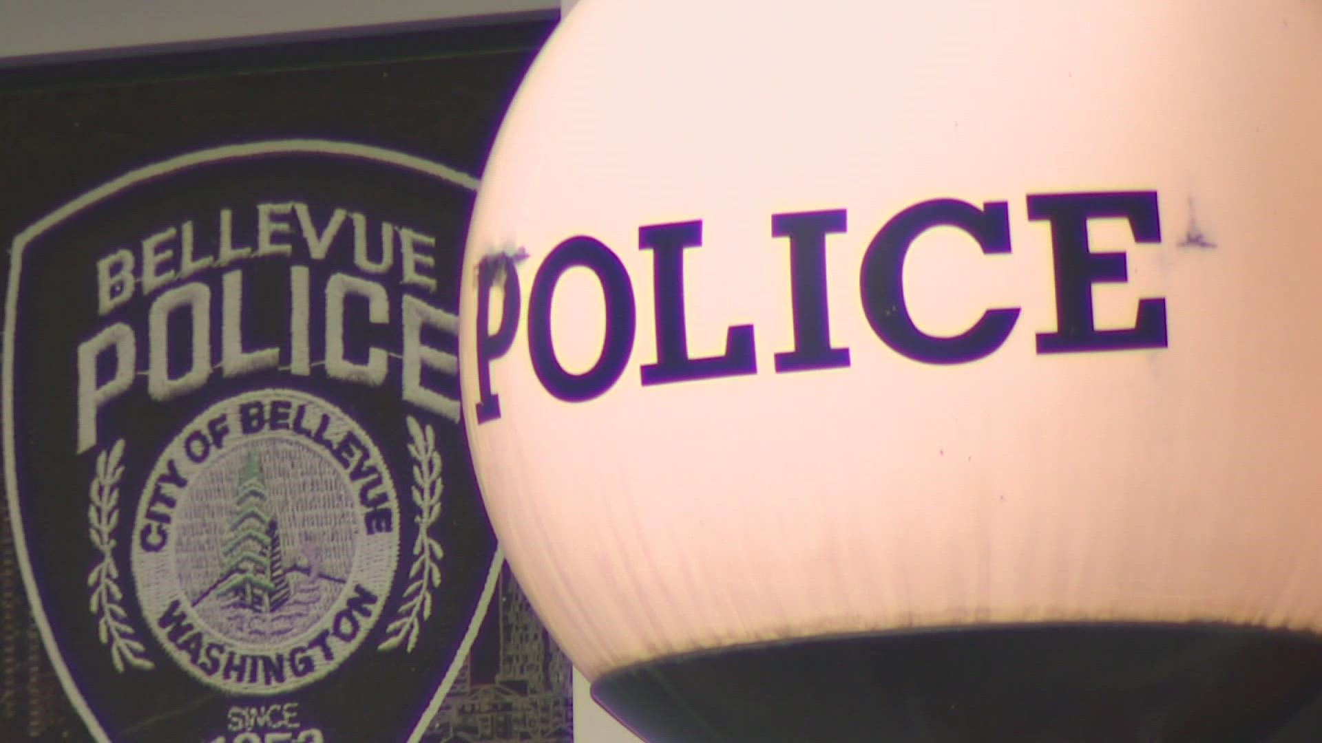 Local businesses say they are dealing with break-ins and thefts. Bellevue Police now aim to reduce crime with a new initiative.