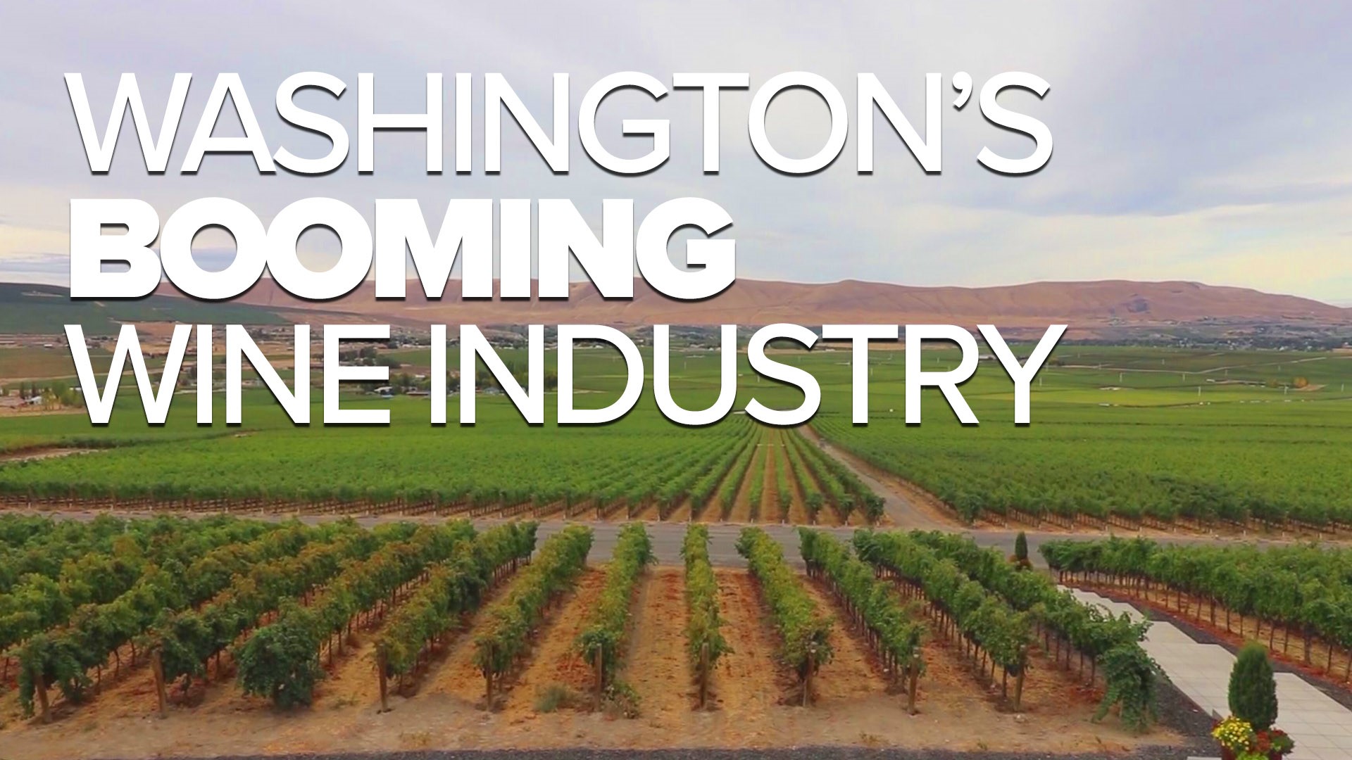 Washington is quickly turning from an "apple state" into a "grape state".  Jake Whittenberg explores why eastern Washington's wine industry is booming.