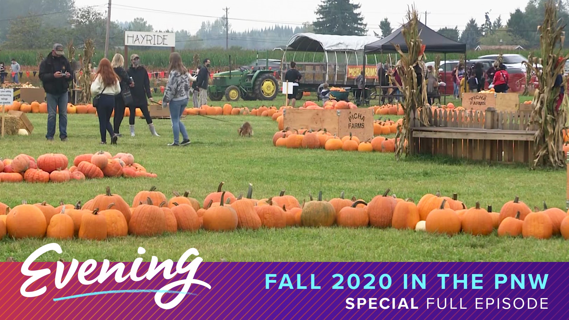 Fall is full of changing leaves, pumpkins, cozy flicks and more -- here are our top picks on where to go and what to do to celebrate the season safely!