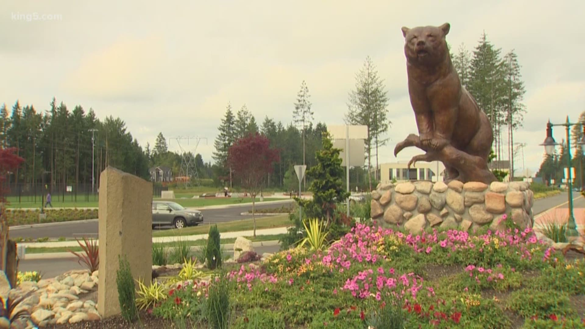 A botanical burglar has been stealing plants in Maple Valley.  The plant pilfering has cost the city thousands of dollars in security and replacement plants the past couple of years.