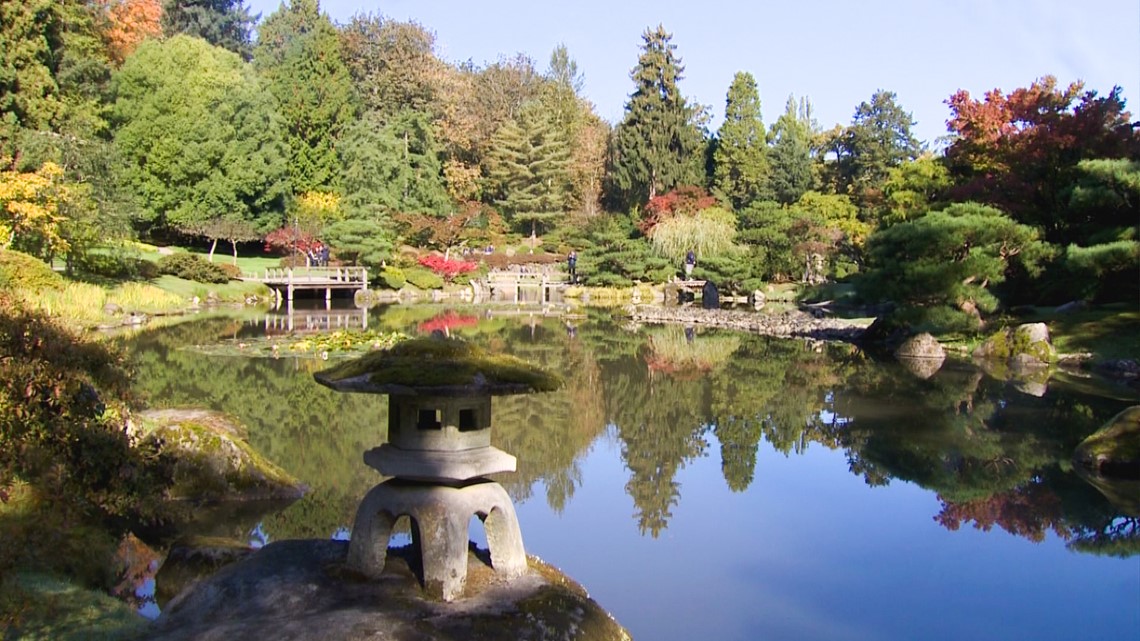 Washington DC  U.S. Japanese Gardens