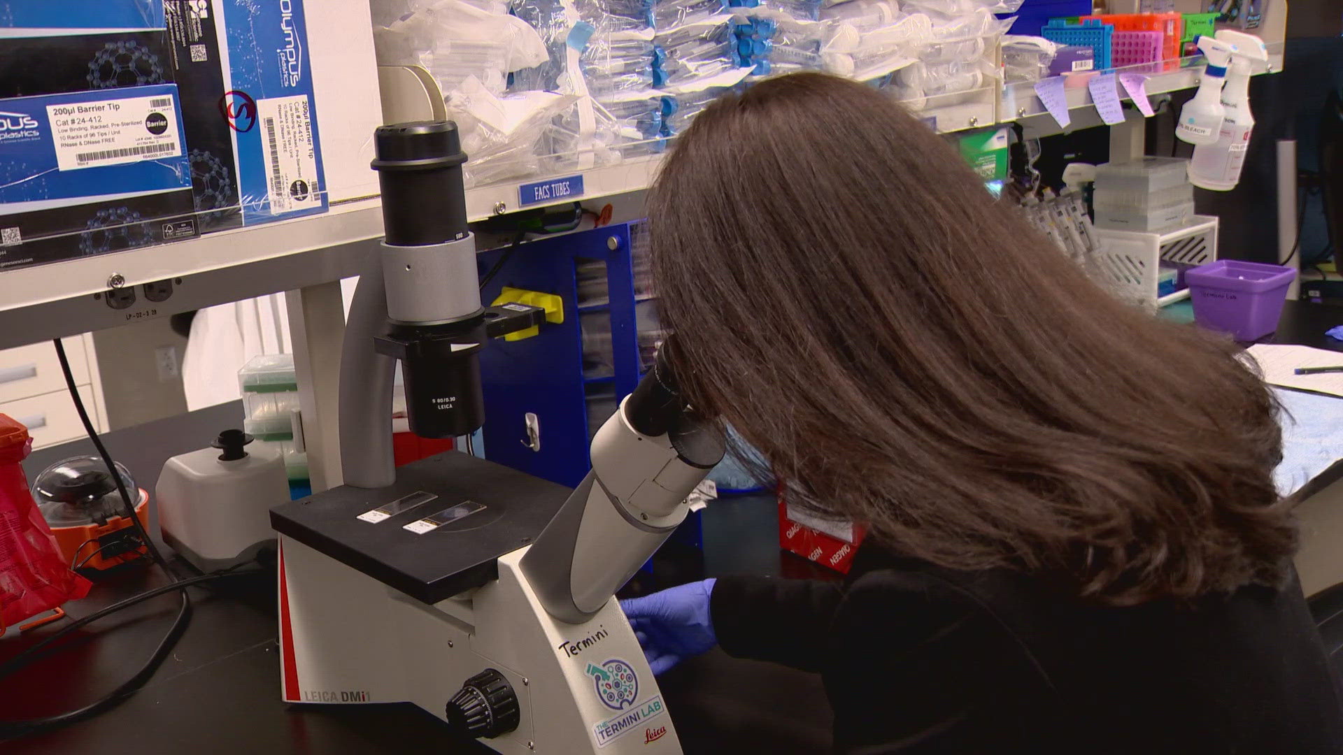Last year, the NIH awarded $1.26 billion in grants and contracts to Washington state, directly supporting over 12,000 jobs.