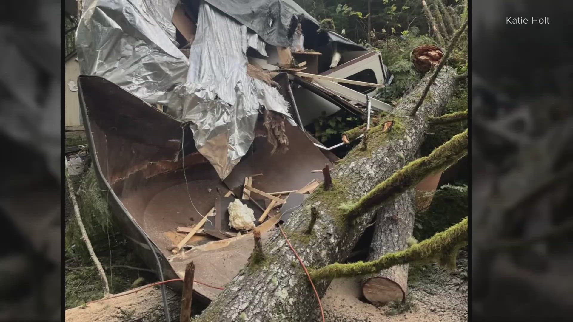 A family of four narrowly escaped injury when trees fell onto their trailer home. The family had left to get supplies just before the incident occurred.