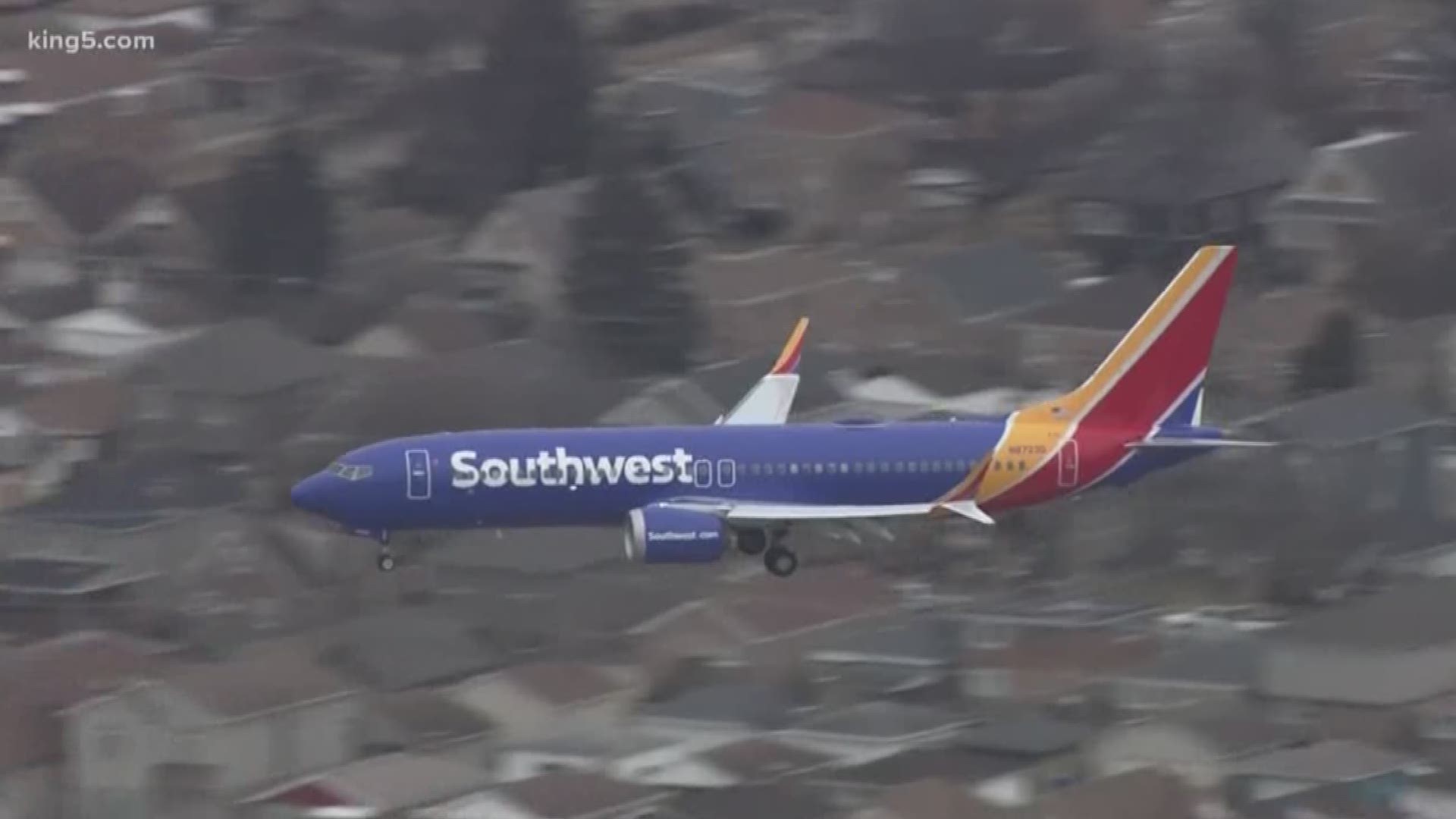 SeaTac says Southwest was the only airline with regularly scheduled MAX flights to or from Seattle. Alaska and Delta, the two largest carriers here, do not fly the MAX planes. But travellers heading through other cities may run into cancellations or delays. KING 5's Ted Land reports