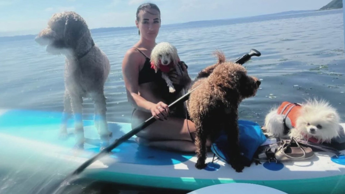 Friends of woman killed in south Seattle home speak out; Ex-Bothell City Council member arrested - Vimarsana News
