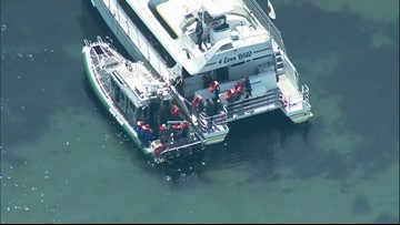 Dozens Rescued From Whale Watching Boat Near Whidbey Island